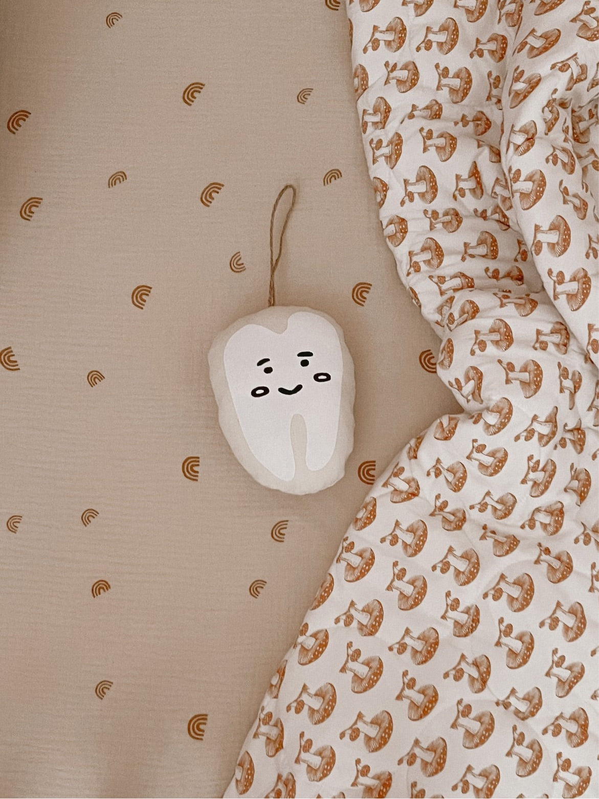 Tooth fairy cushion